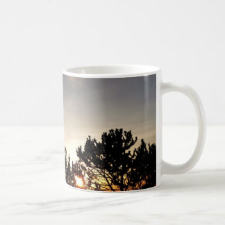 Tasse de coucher du soleil et de pin de Whitebark