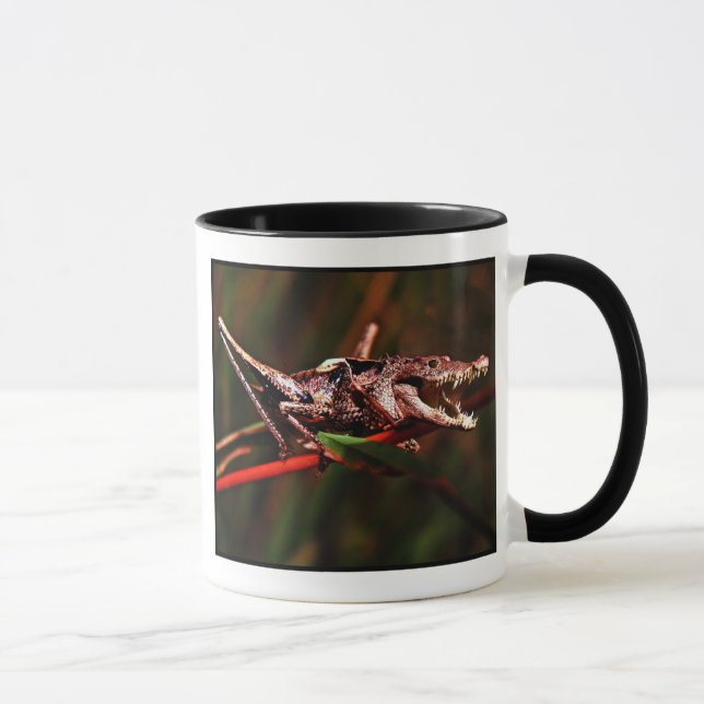 Tasse de Crocket (Droite)