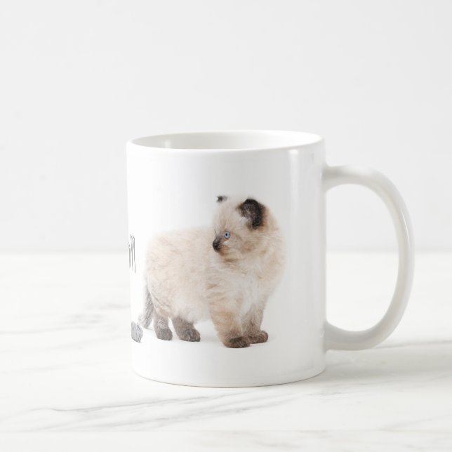 Tasse de croquis de chaton de Ragdoll (Droite)