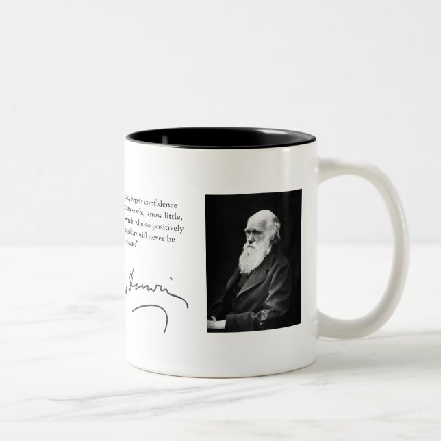 Tasse de Darwin (Droit)