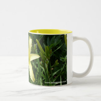 Tasse de Daylily