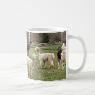 Tasse de ~ de mélange d'alpaga