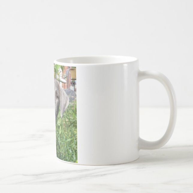 Tasse de dentelle bleue de sourire (Droite)