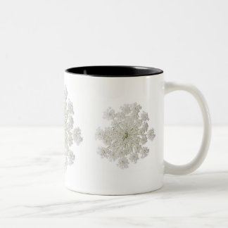 Tasse de dentelle de la Reine Anne