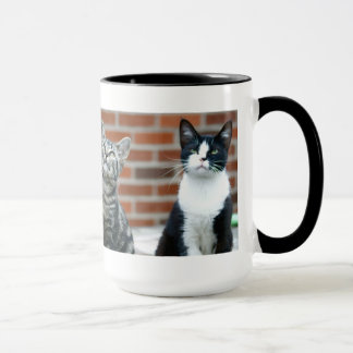 Tasse de deux chats