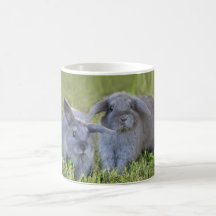 Tasse de deux lapins
