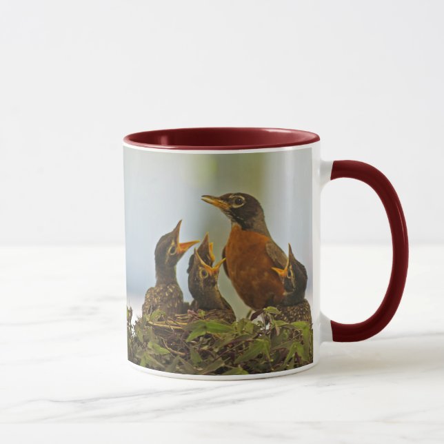 Tasse de famille de Robin (Droite)