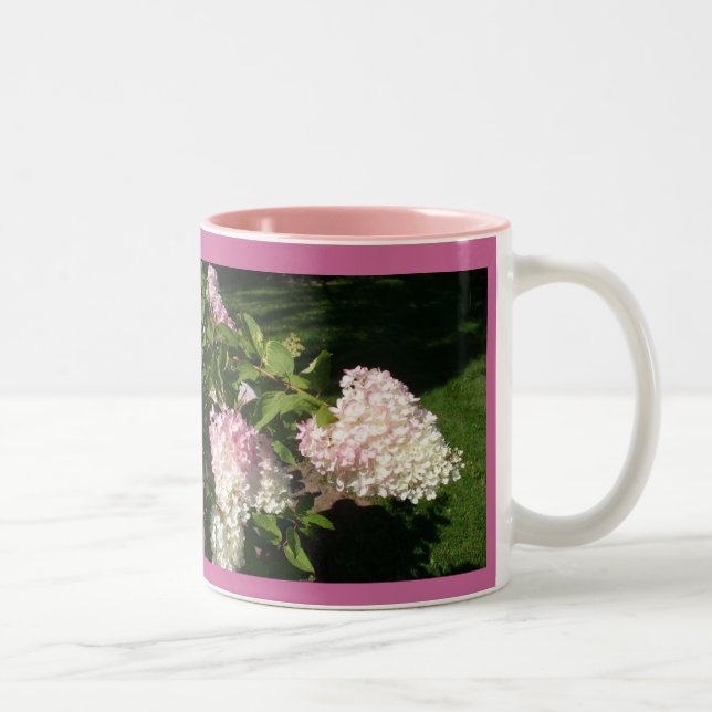 Tasse de fleurs d'hortensia de PAGE (Droit)
