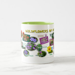 tasse de fleurs sauvages de hv19 l'Oklahoma