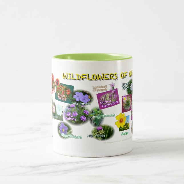 tasse de fleurs sauvages de hv19 l'Oklahoma (Centre)