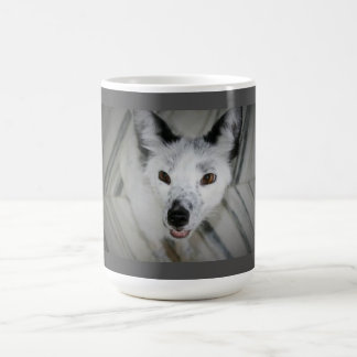 Tasse de Fox - Boris