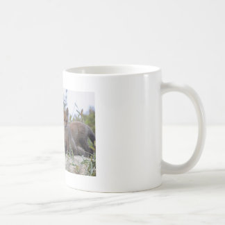 Tasse de Fox de bébé
