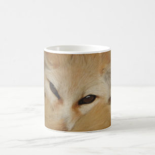 Tasse de Fox de Fennec