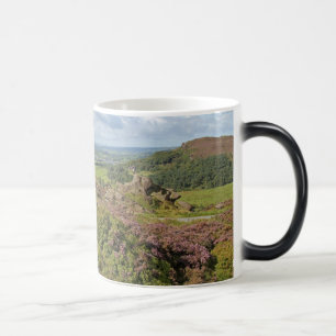 Tasse de gardons