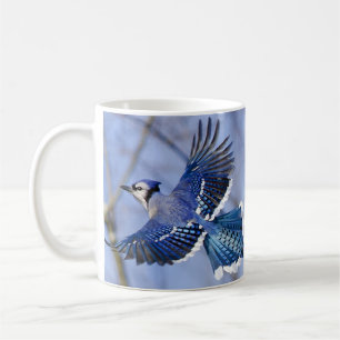 Tasse de geai bleu en vol