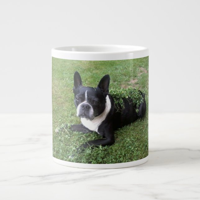 tasse de gombo de terrier de Boston (Devant)