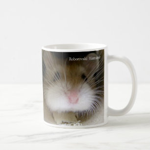 Tasse de hamster de Roborovski