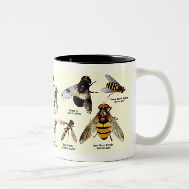 Tasse de Hoveryfly - ton 2 (Droit)