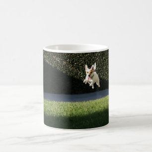 Tasse de Jack Russell de vol