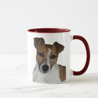 Tasse de Jack Russell terriers