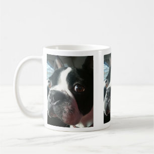 Tasse de Jake