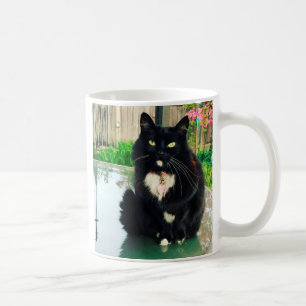 Tasse de Kitty