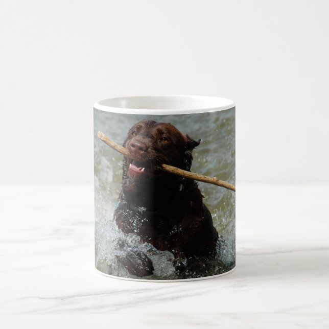 Tasse de laboratoire de chocolat (Centre)