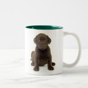 Tasse de Labrador de chocolat
