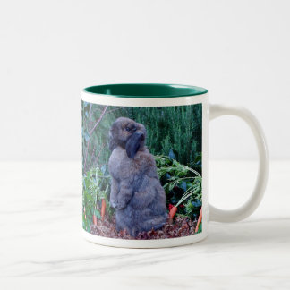 Tasse de lapin - customisée