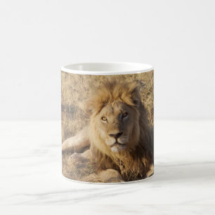 Tasse de lion