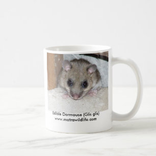 Tasse "de loir comestible"