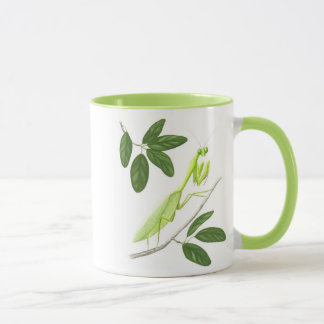Tasse de mante de prière