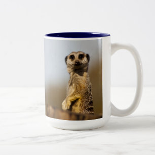 Tasse de Meerkat