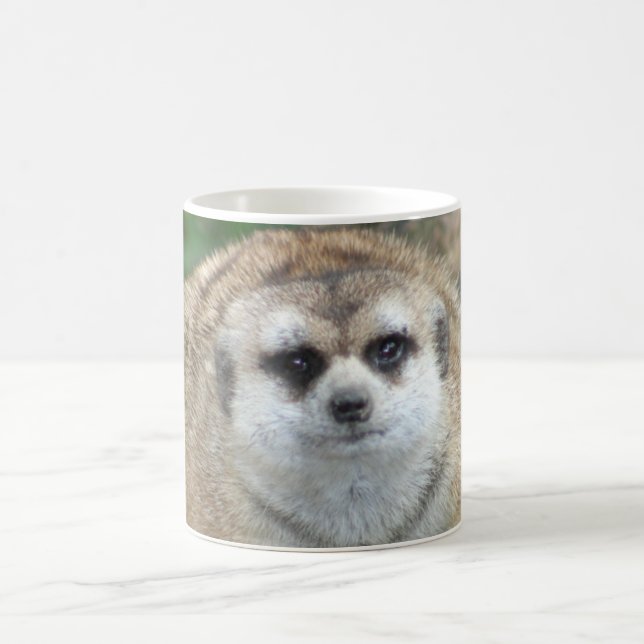 Tasse de Meerkat (Centre)