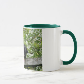 Tasse de merle