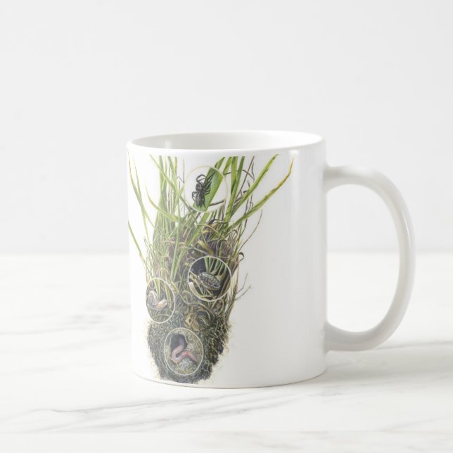 Tasse de Microhabitat (Droite)