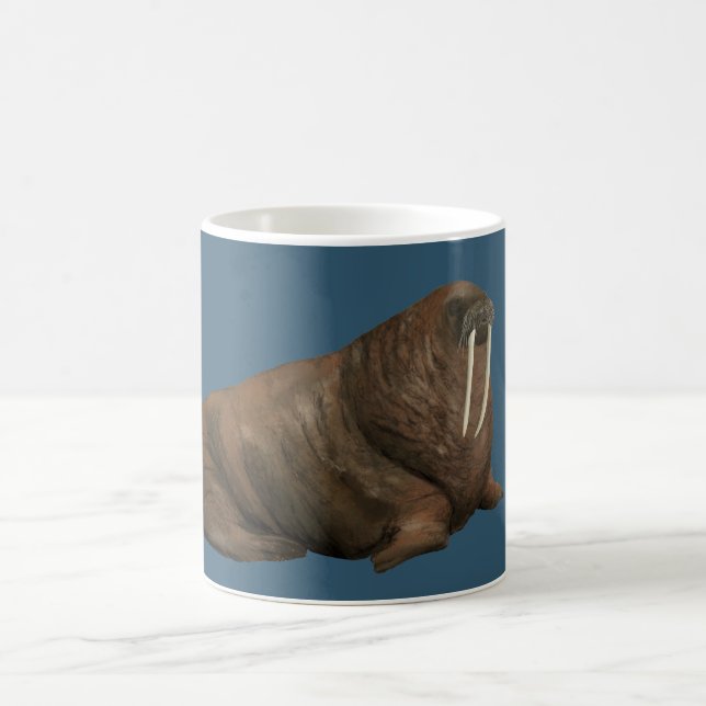 Tasse de Morse (Centre)