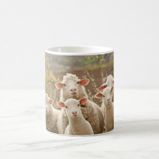 TASSE DE MOUTONS
