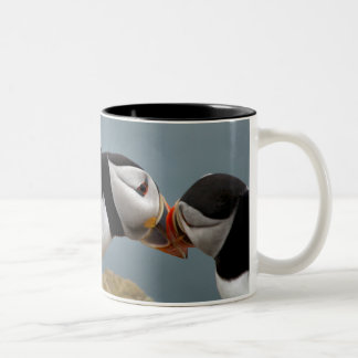 Tasse de paires de macareux
