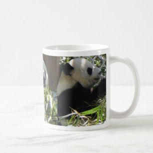 Tasse de panda géant