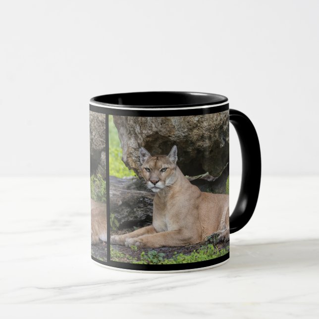 Tasse de panthère de la Floride (Devant droit)