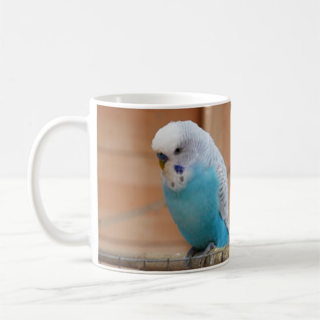 Tasse de perruche (Gauche)