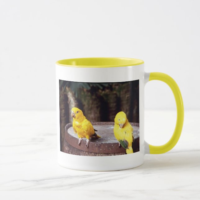 tasse de perruches (Droite)
