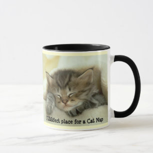Tasse de petit somme de chat