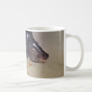 Tasse de photographie de porc gonflée par pot