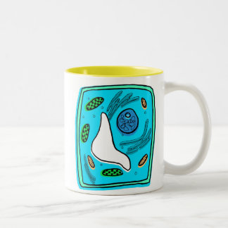 Tasse de photosynthèse