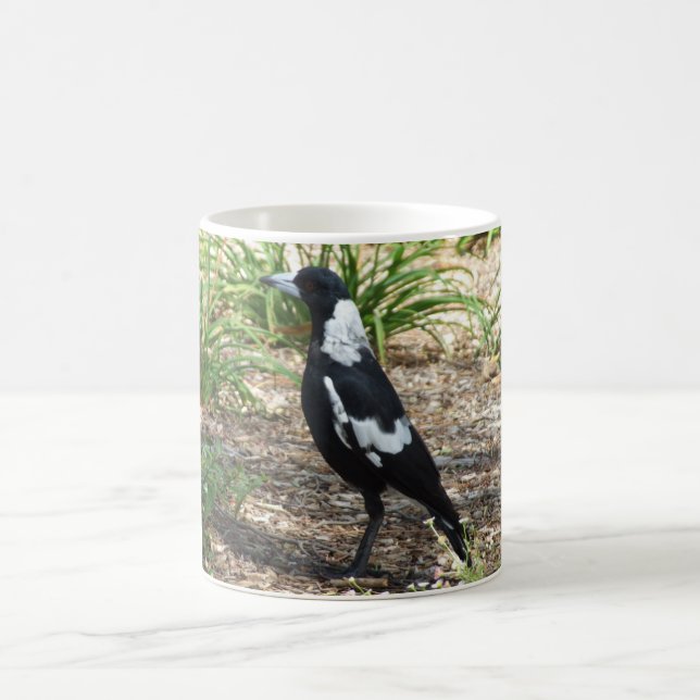 Tasse de pie australienne (Centre)