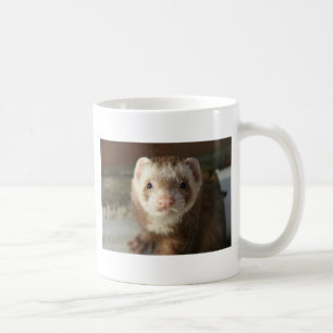 Tasse de plan rapproché de furet