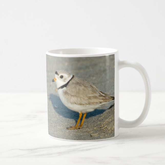 Tasse de pluvier sifflant (Droite)