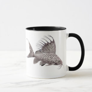 Tasse de poisson-chat d'eupterus de Synodontis